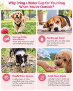 TrailSip Foldable Pet Water Bottle