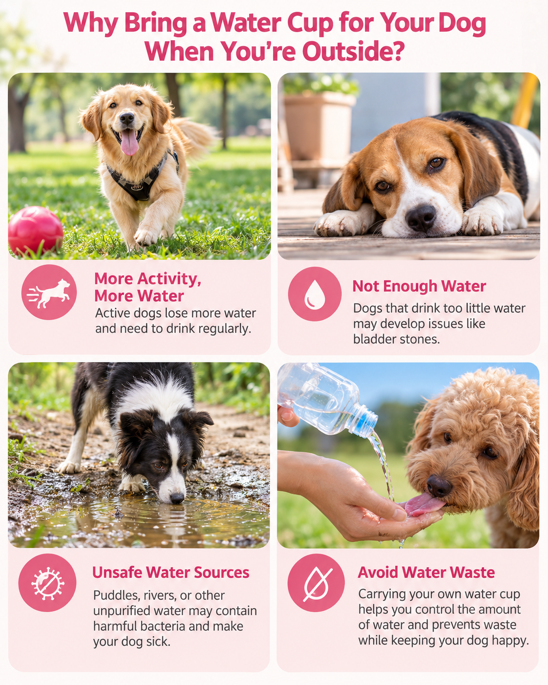 TrailSip Foldable Pet Water Bottle