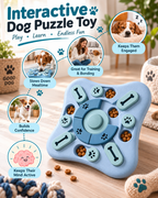 PawQuest Interactive Level 2 Slow Feeder Puzzle